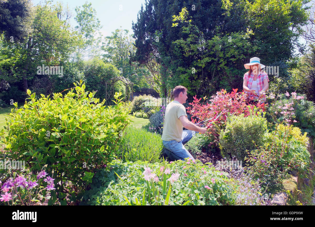 Couple tending to garden Stock Photo