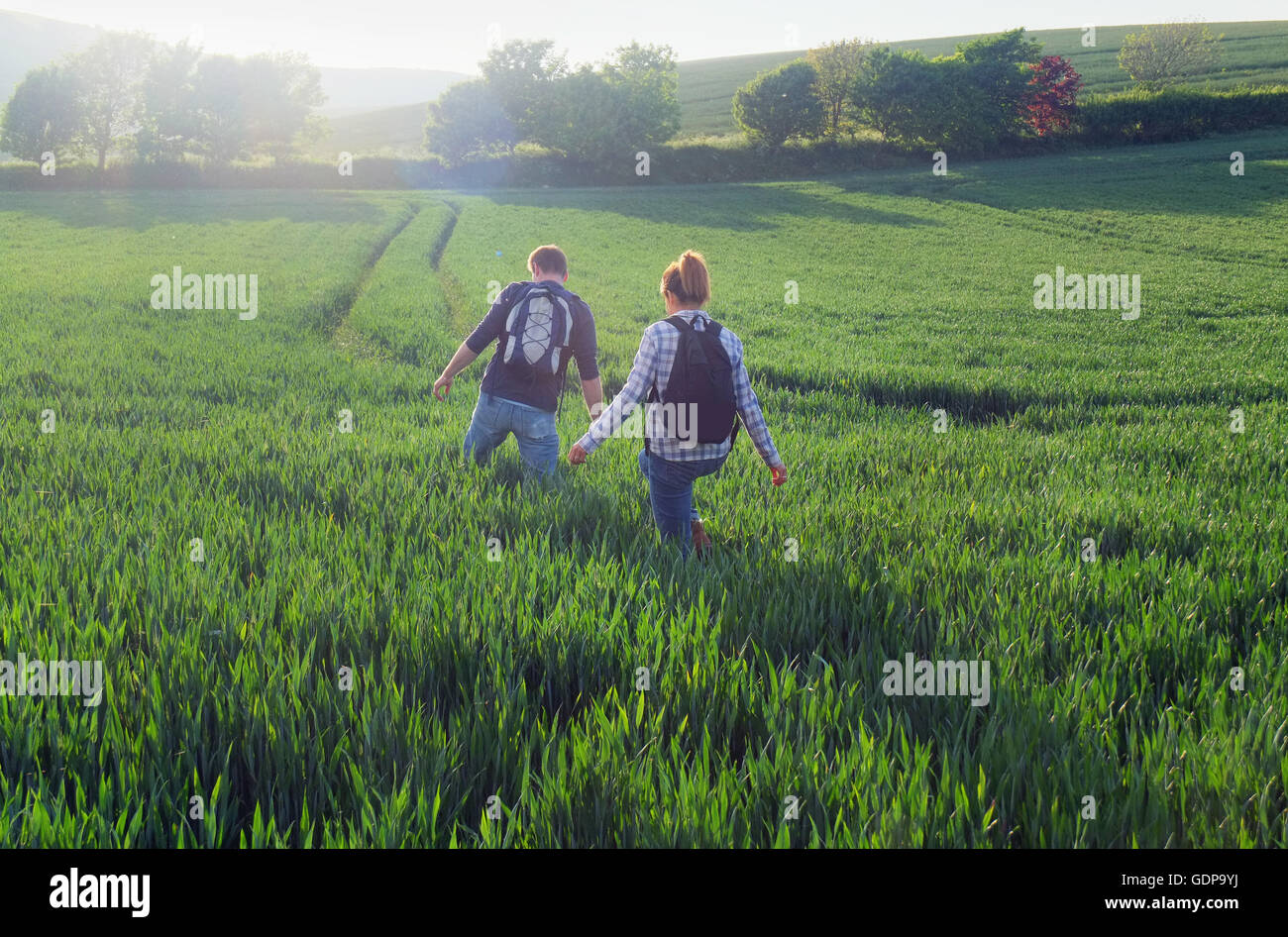 Rear view of couple hiking in field Stock Photo - Alamy