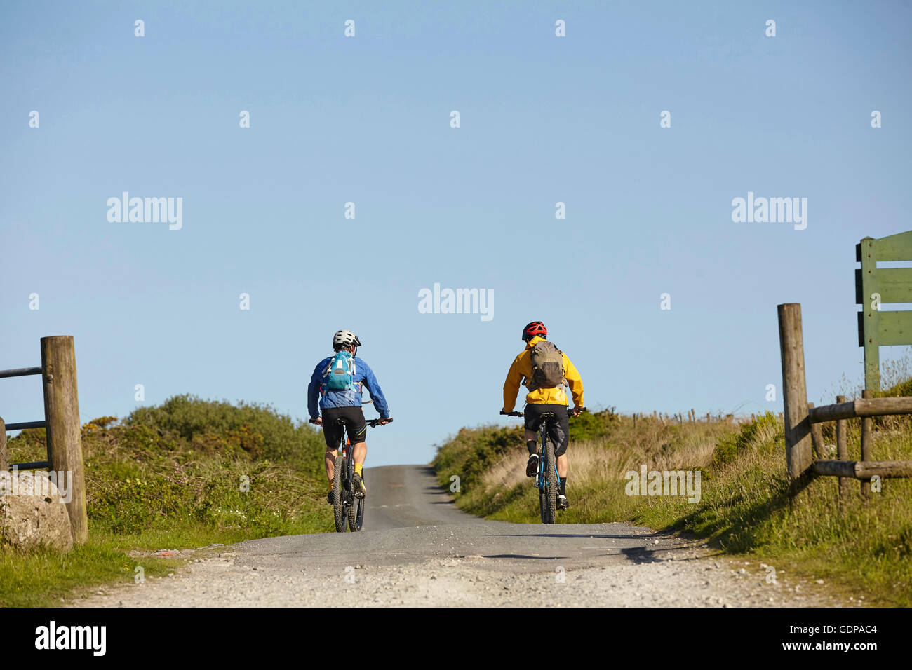 Rear view of cyclists cycling on rural road Stock Photo