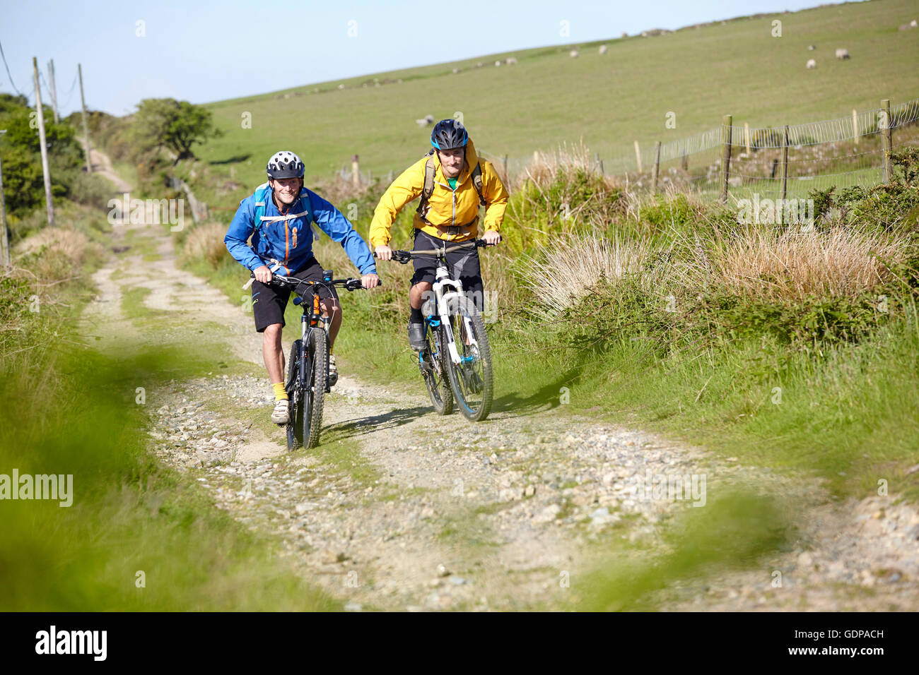 Cyclists cycling on dirt track Stock Photo