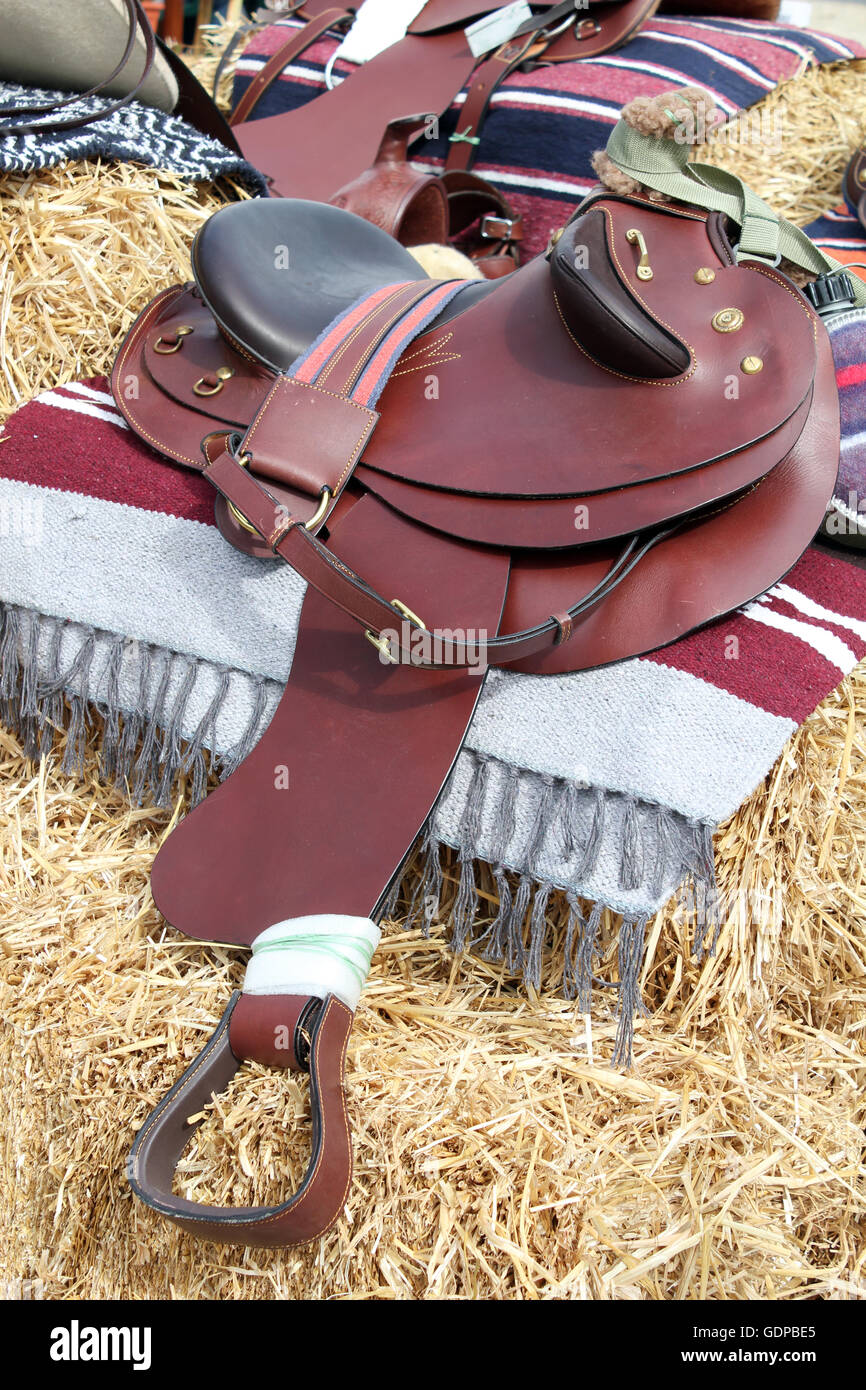 brown leather horse saddle Stock Photo