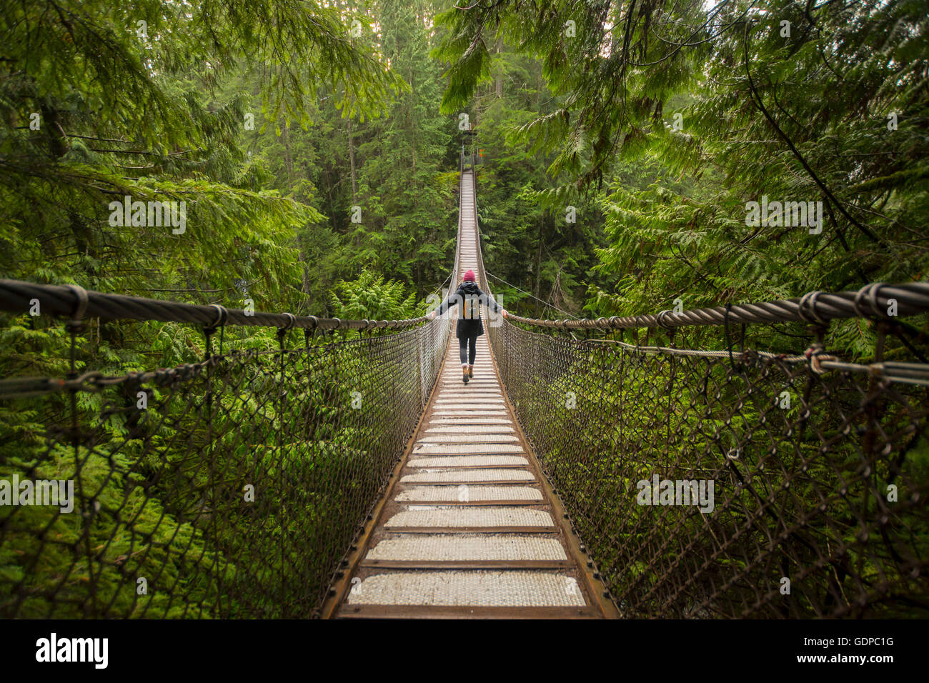 Rope bridge hires stock photography and images Alamy