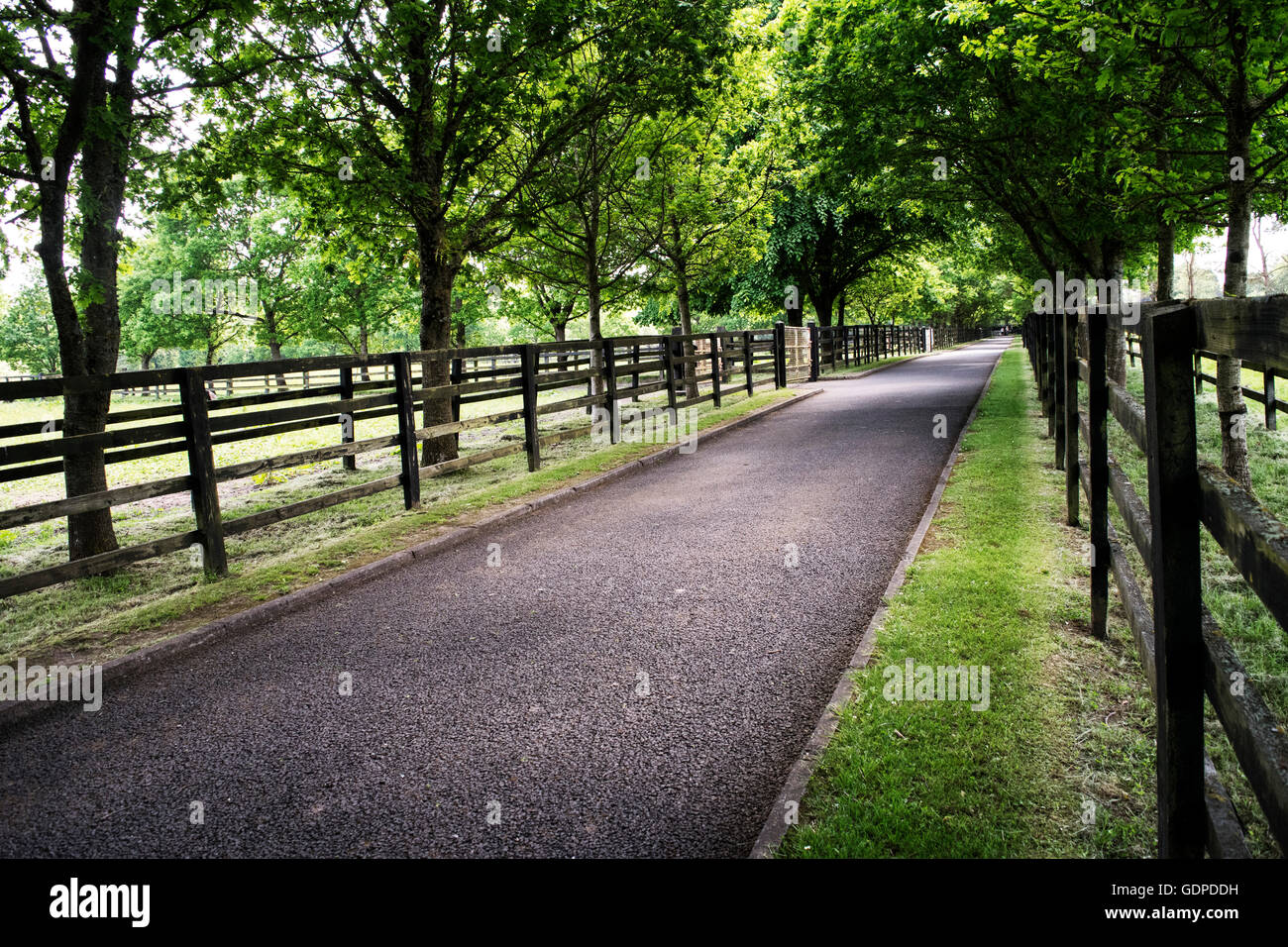 Lonely empty road hi-res stock photography and images - Alamy