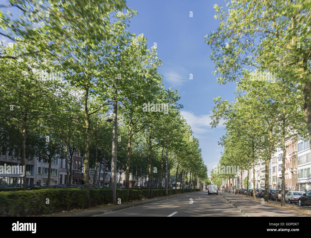 Antwerp intelligence overview