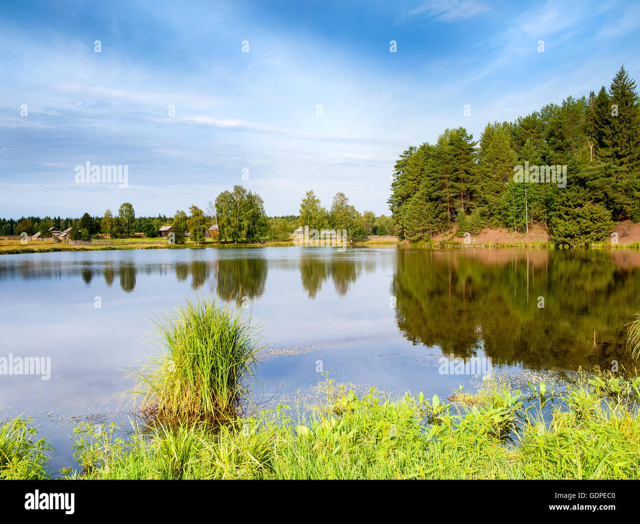 Small lake in summer landscape Stock Photo
