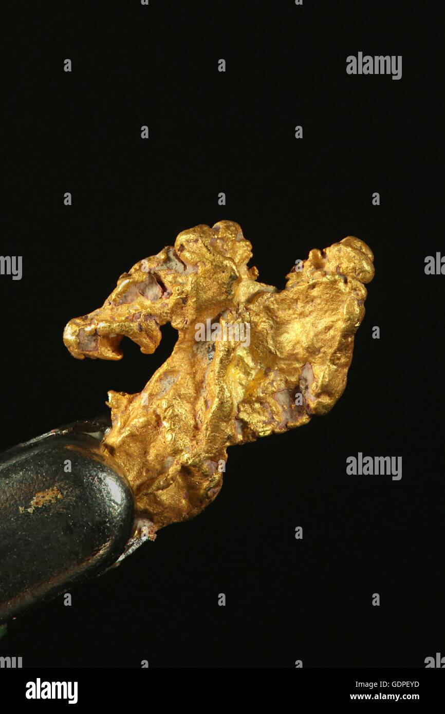 Piles of alluvial gold dust found in a river in the French Gard department  in south-eastern France Stock Photo - Alamy