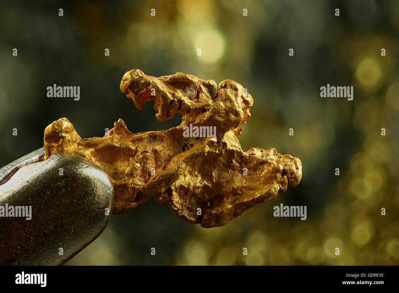 Gold nuggets river hi-res stock photography and images - Alamy