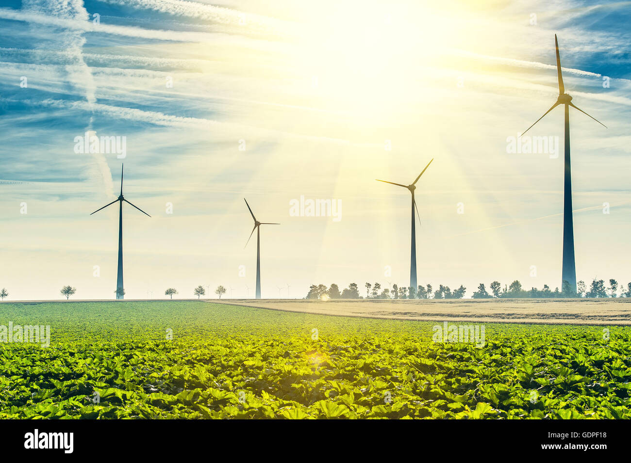 Wind Turbines - renewable energy sources Stock Photo