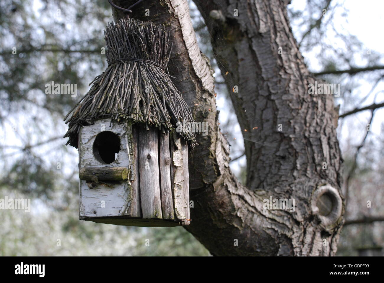 Birdhouse, birdhouse on a tree Stock Photo Alamy