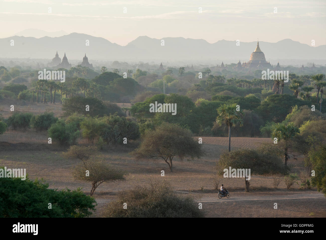 the Temple and Pagoda Fields in Bagan in Myanmar in Southeastasia. Stock Photo