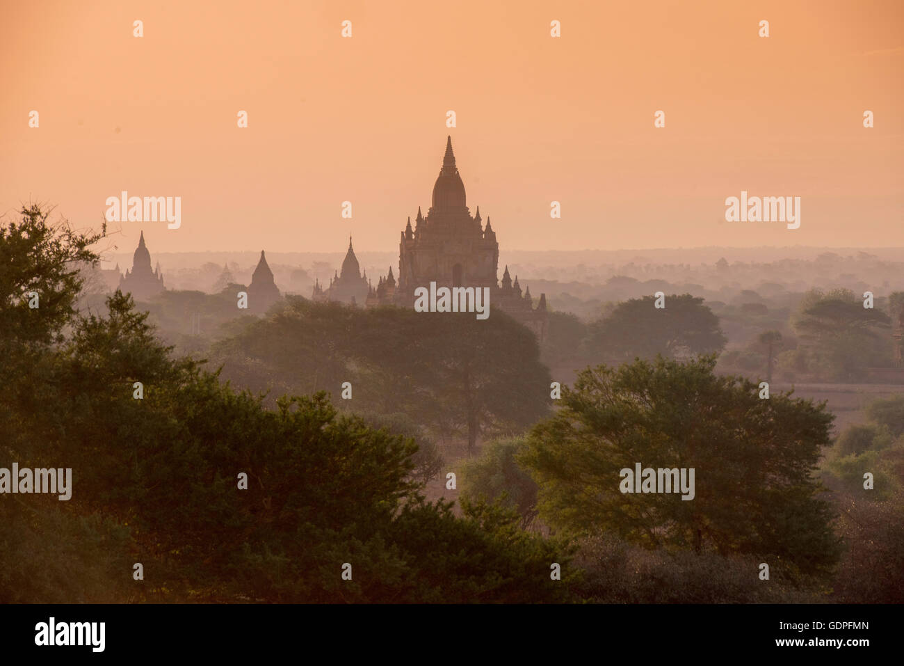 the Temple and Pagoda Fields in Bagan in Myanmar in Southeastasia. Stock Photo