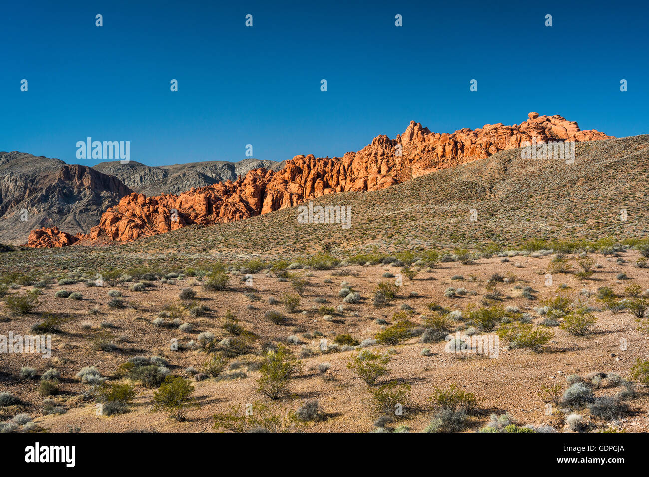 Sandstone rock formation in Valley of Fire State Park, Mojave Desert ...