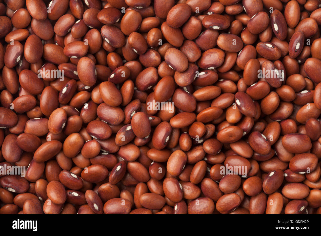 Dried  Flor de mayo beans full frame Stock Photo