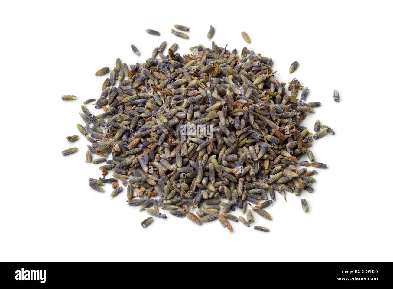 Heap of dried lavender flowers on white background Stock Photo