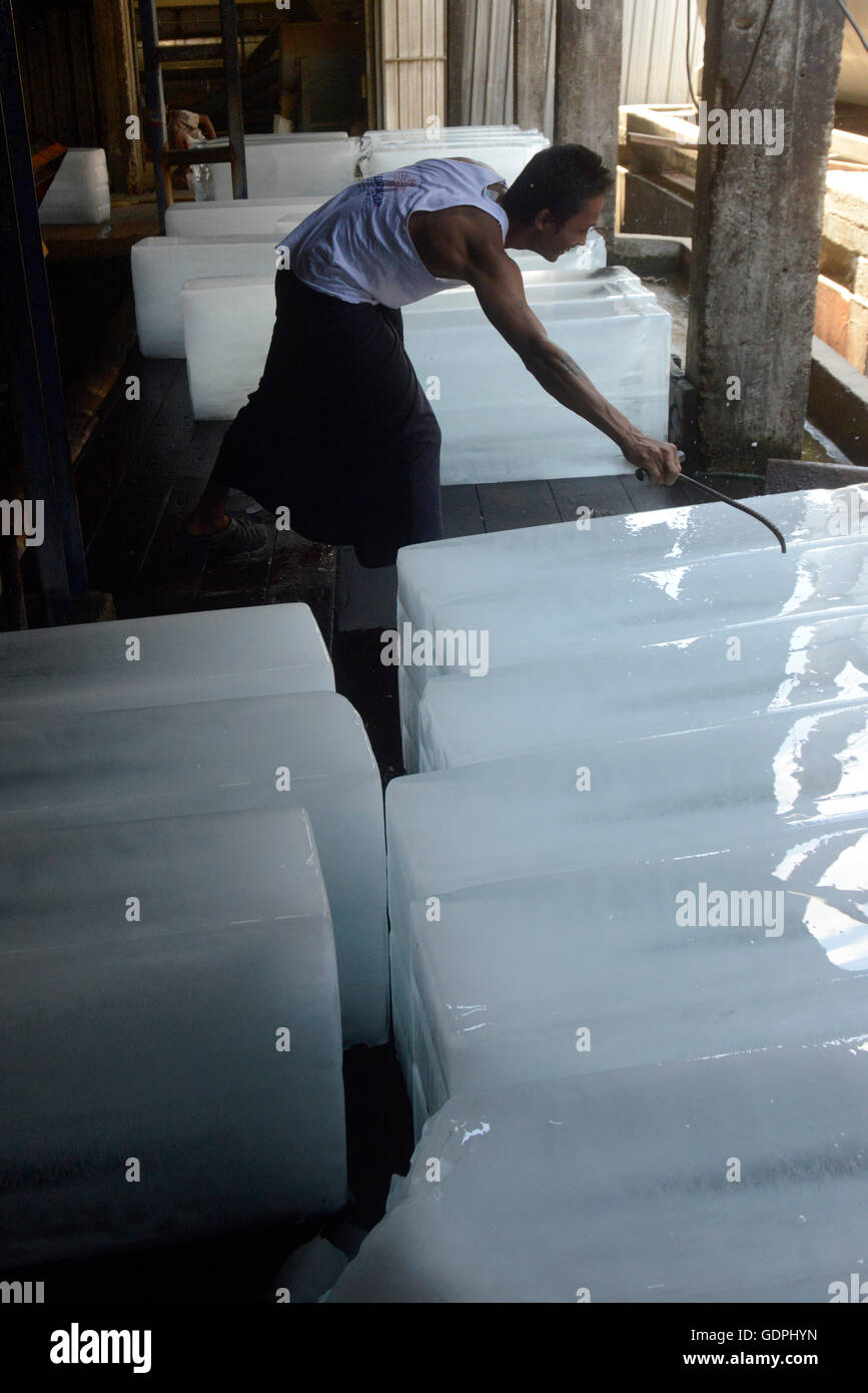 the ice factory at a fishmeal factory in the city of Myeik in the south in Myanmar in