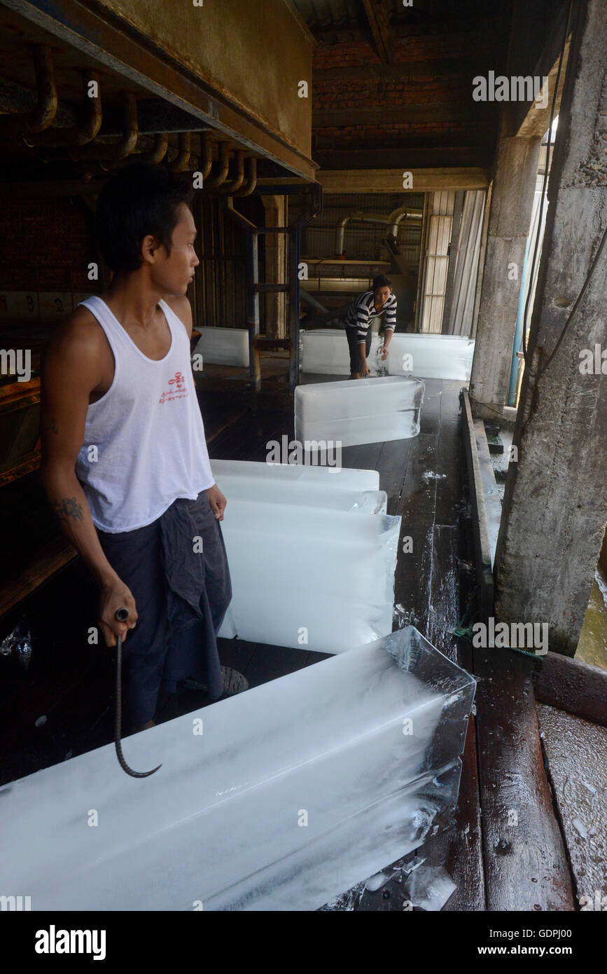 the ice factory at a fishmeal factory in the city of Myeik in the south in Myanmar in