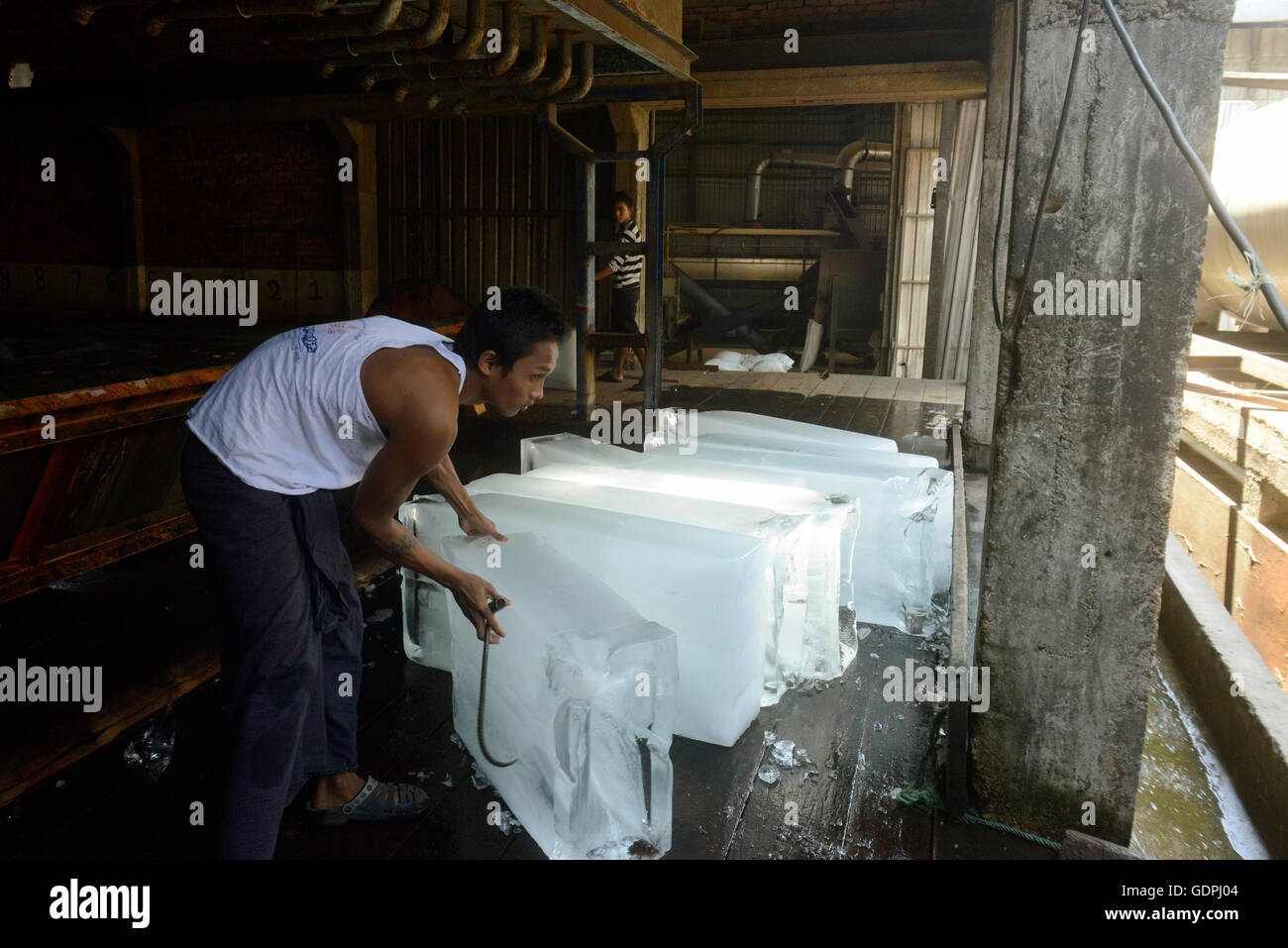 the ice factory at a fishmeal factory in the city of Myeik in the south in Myanmar in