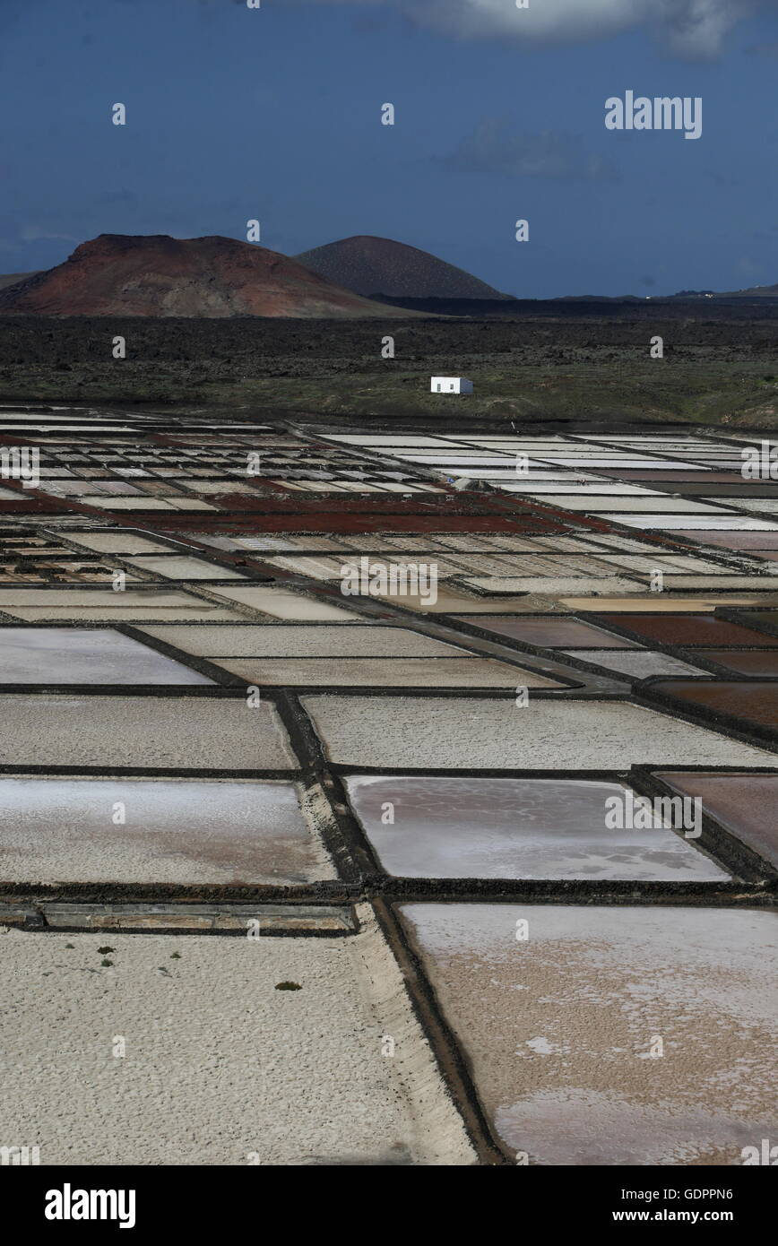 The Salinas in the Laguna of El Charco on the Island of Lanzarote on the Canary Islands of Spain
