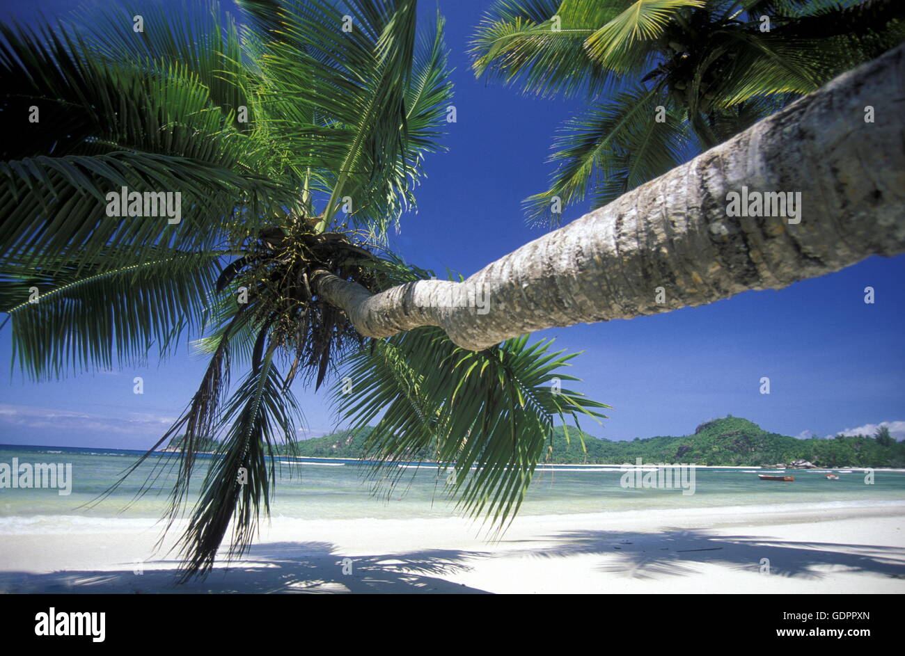 Ein Traumstrand auf der Insel Praslin der Inselgruppe Seychellen im Indischen Ozean in Afrika. Stock Photo