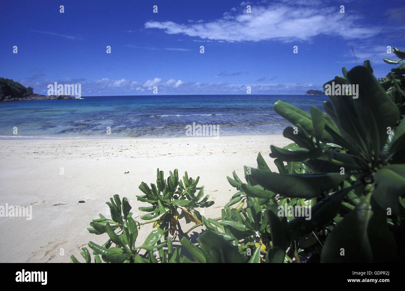 Die Landschaft auf der Insel Mahe auf den Seychellen im Indischen Ozean. Stock Photo