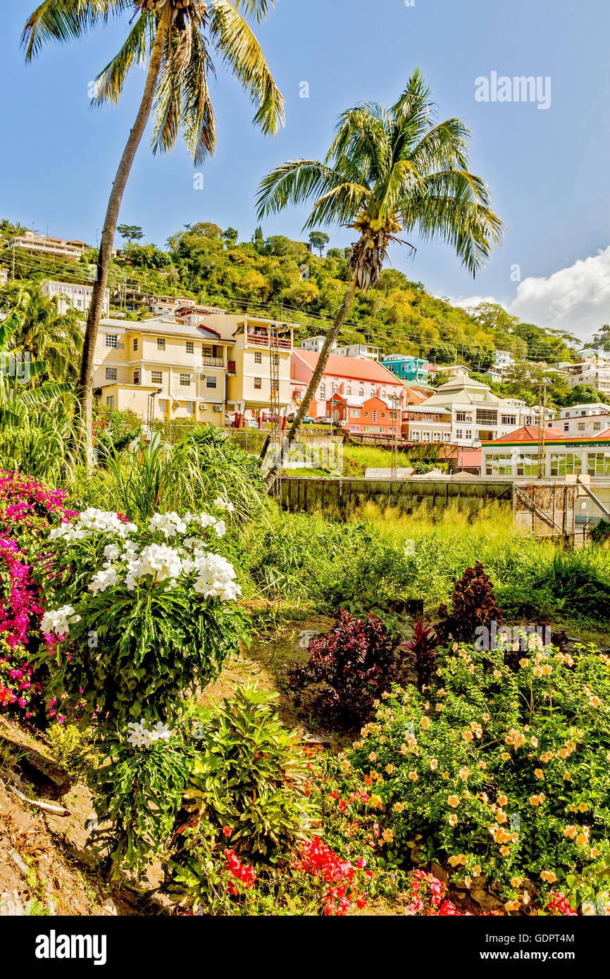 St Georges Grenada High Resolution Stock Photography And Images Alamy   St Georges Grenada West Indies GDPT4M 