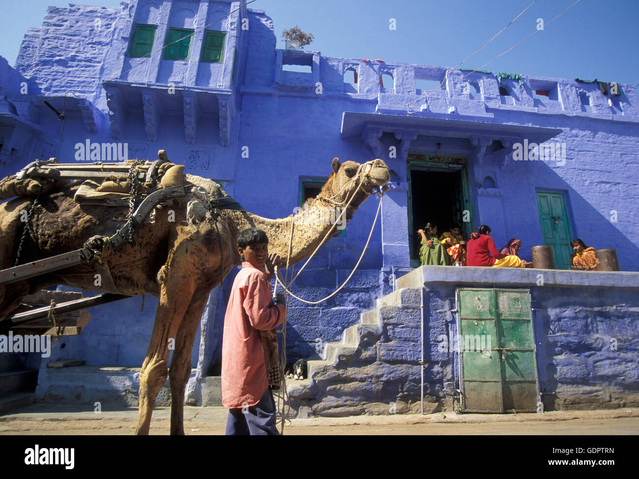 the blue city in the old town of Jodhpur in Rajasthan in India. Stock Photo