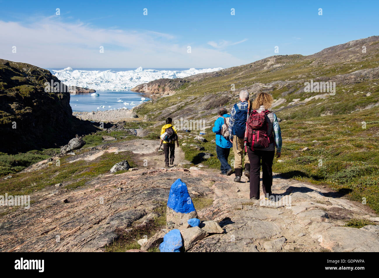 Hikers hiking on blue trail hike to Holms Bakke by Ilulissat Icefjord with icebergs in fjord in summer. Ilulissat West Greenland Stock Photo