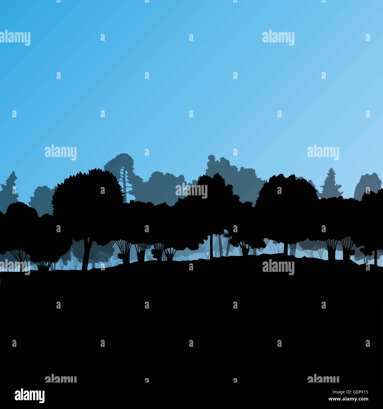 Forest trees silhouettes natural wild landscape detailed illustration ...