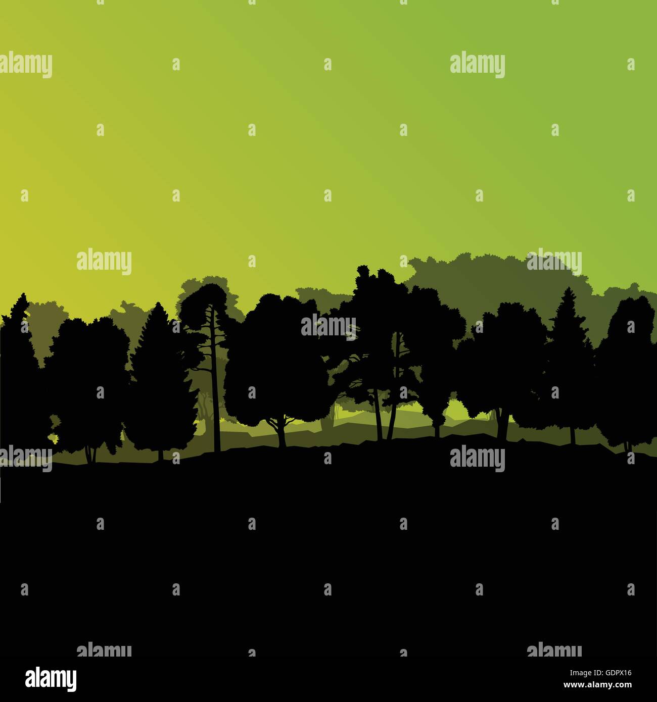 Forest trees silhouettes natural wild landscape detailed illustration ...