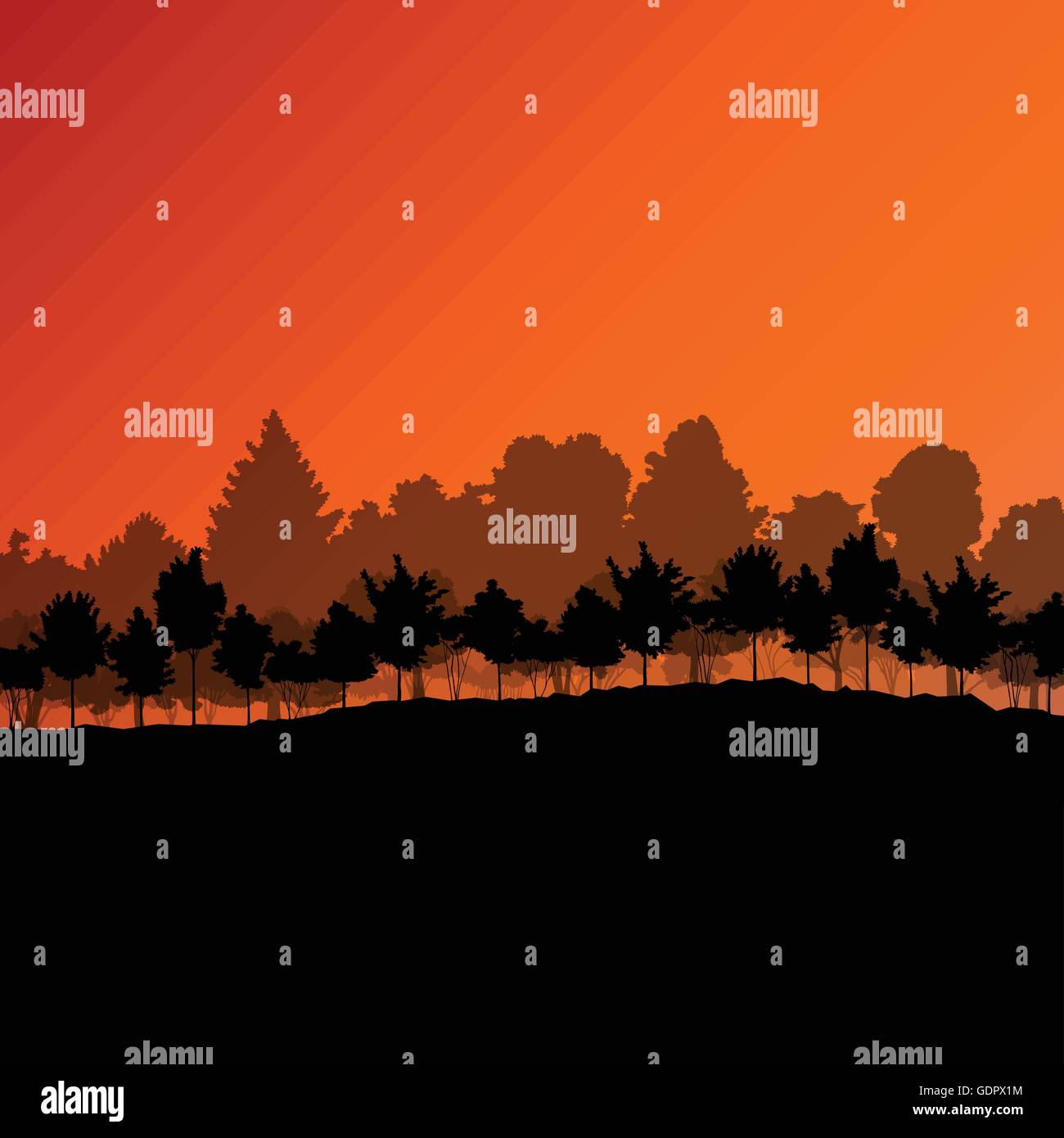 Forest trees silhouettes natural wild landscape detailed illustration ...