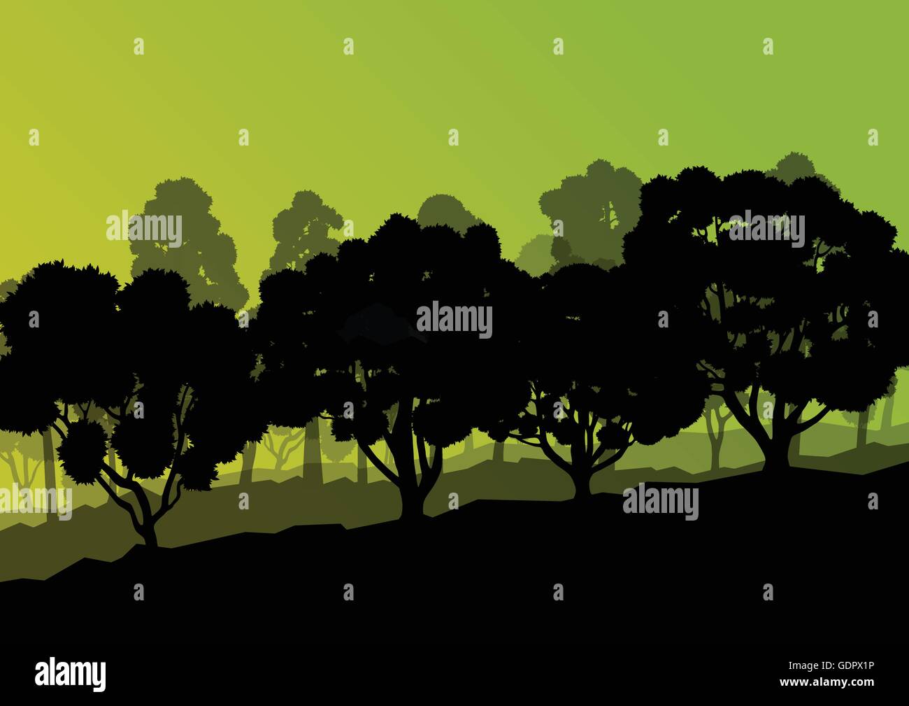 Forest trees silhouettes natural wild landscape detailed illustration ...