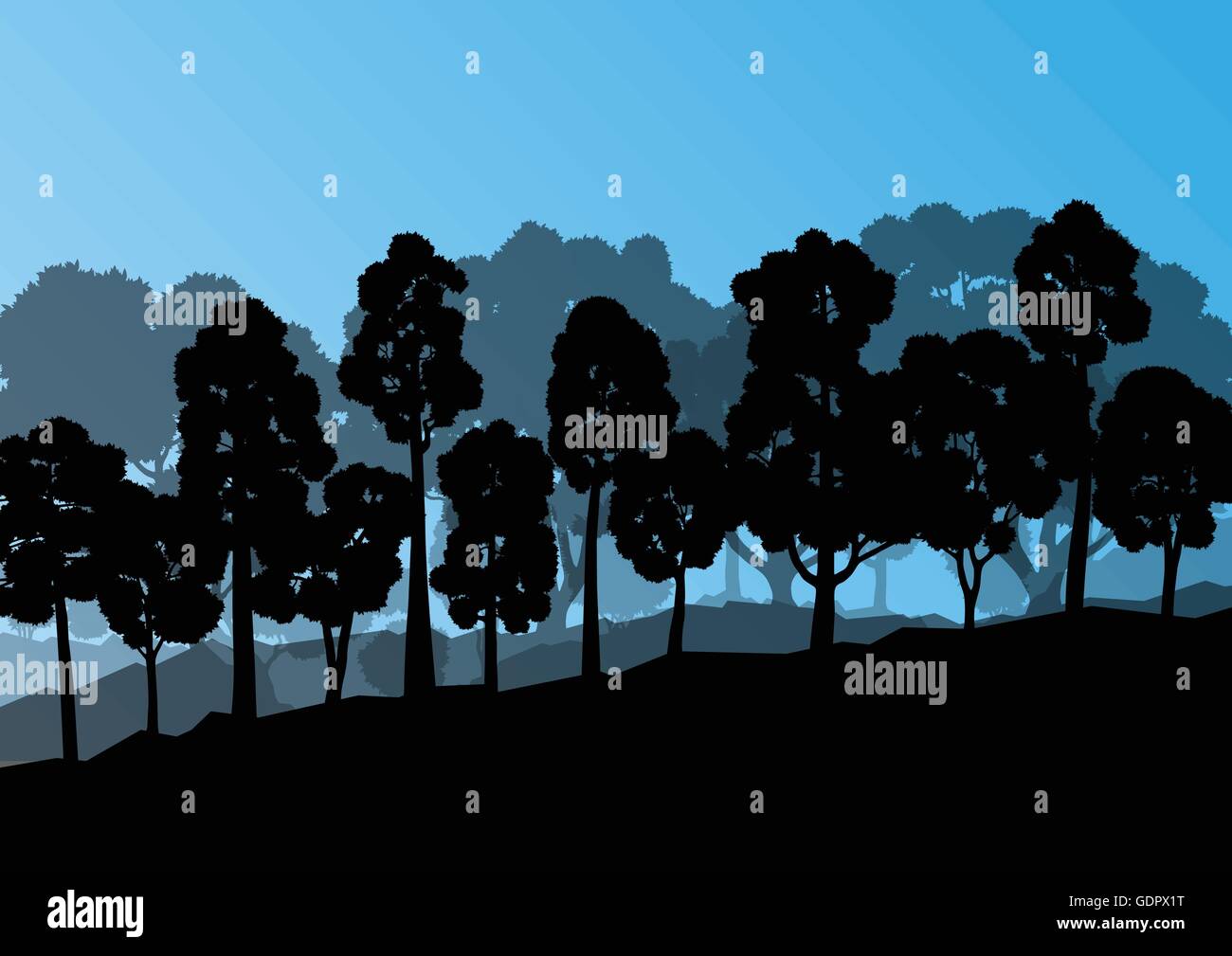 Forest trees silhouettes natural wild landscape detailed illustration ...