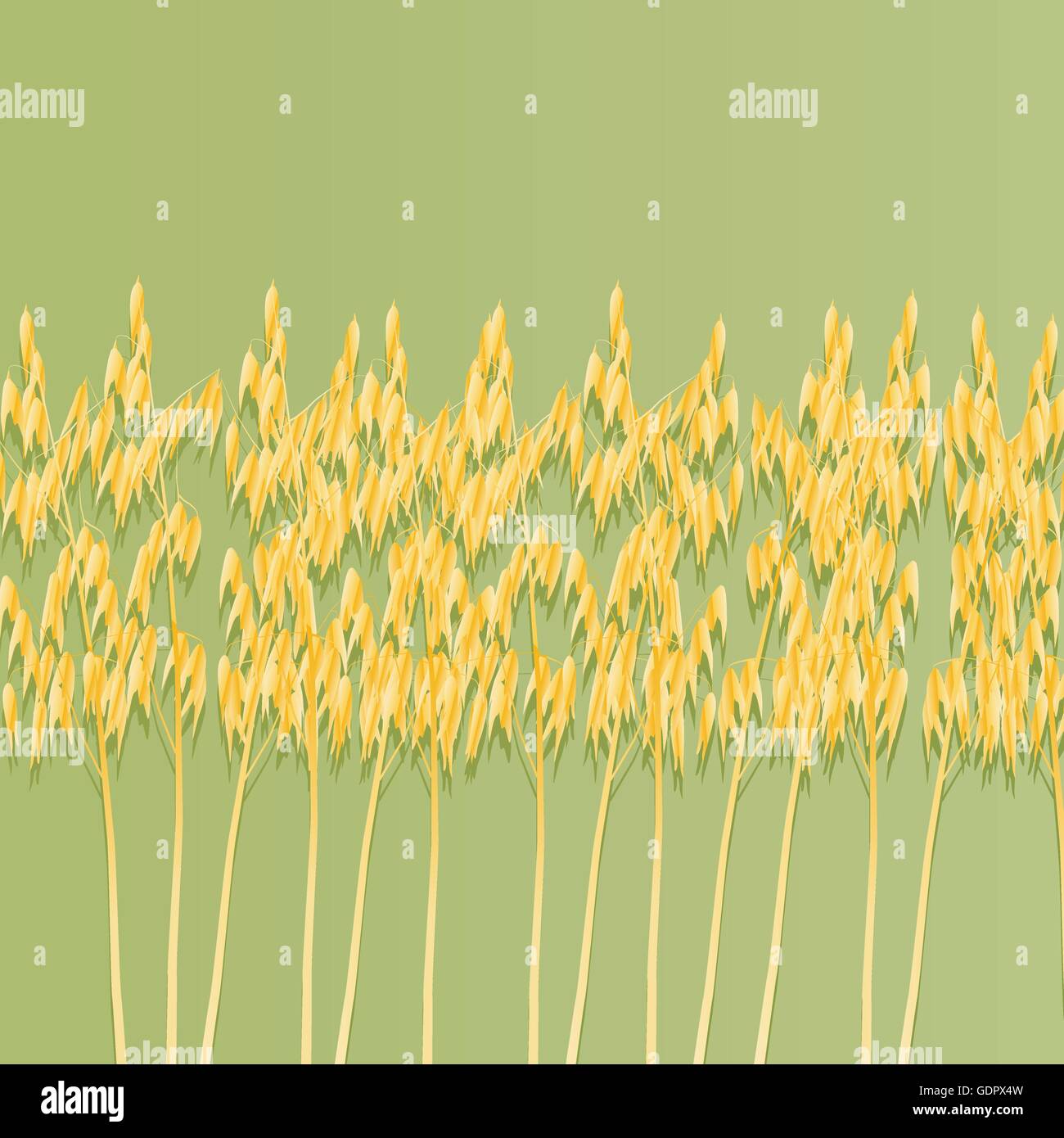 Oats background vector for poster Stock Vector Image & Art - Alamy