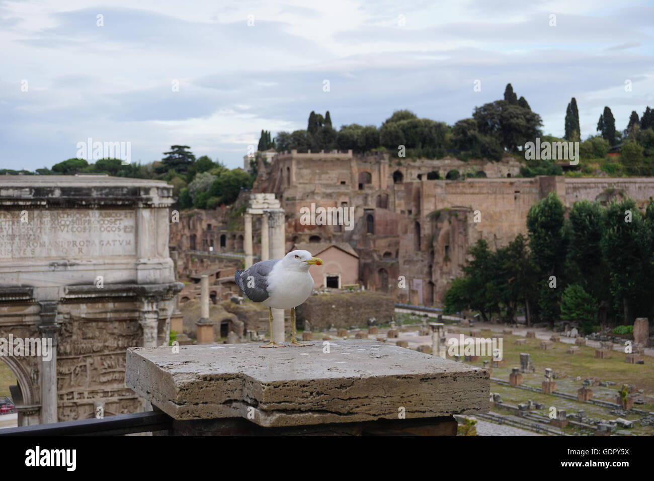 Roman forum painting hi-res stock photography and images - Alamy