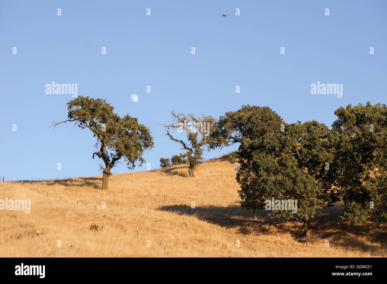 Moon rising up at sunset, California Stock Photo