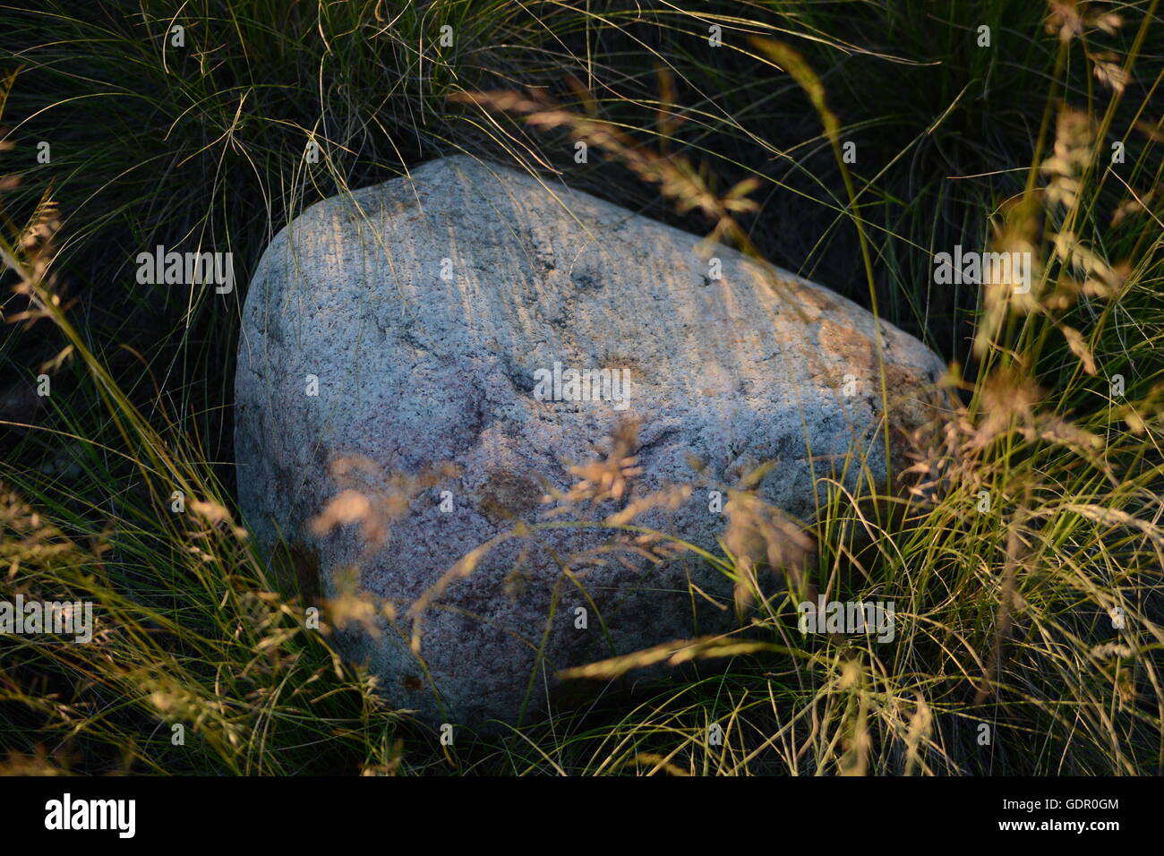 Rock in the praire Stock Photo - Alamy