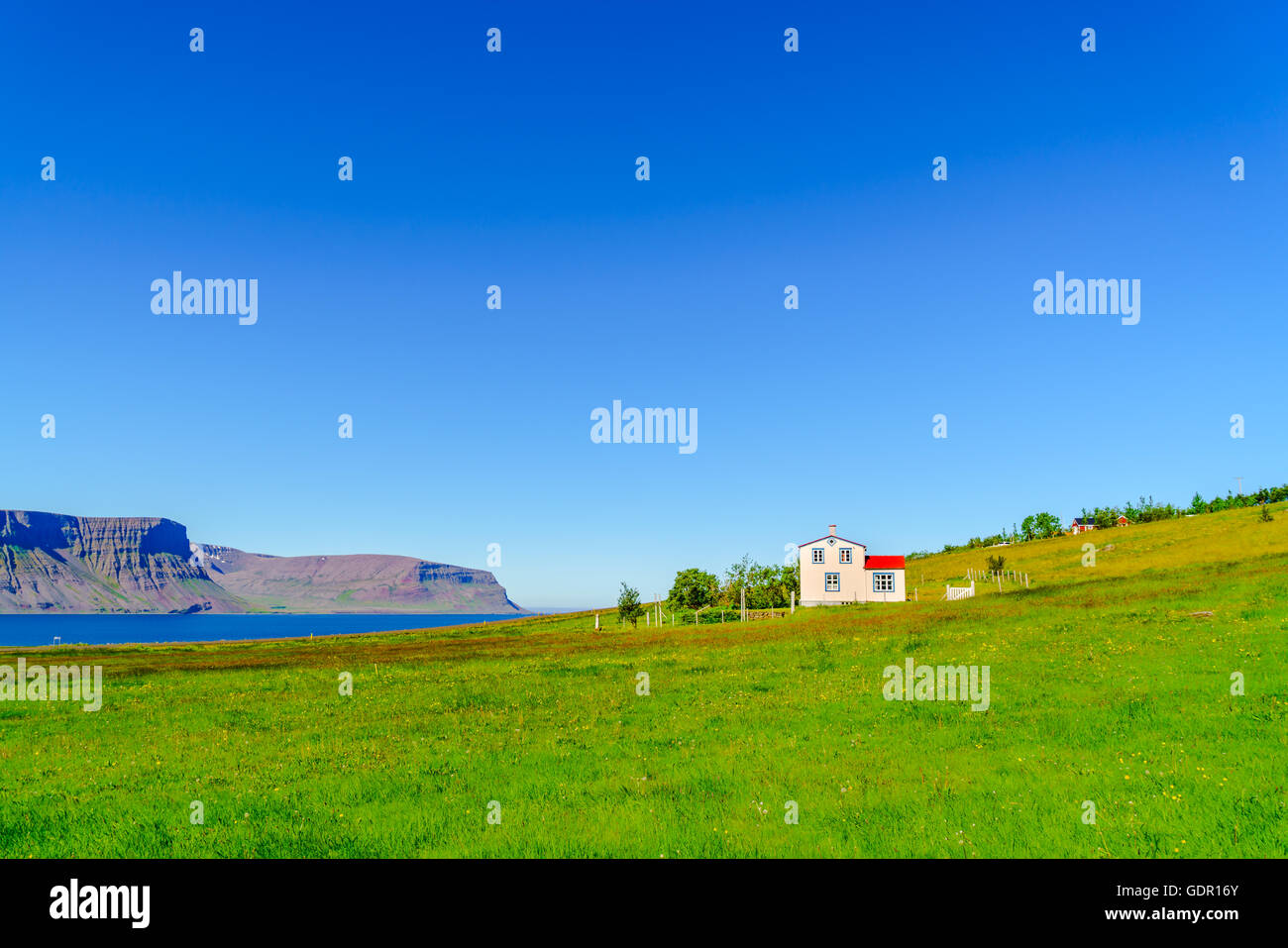 Icelandic landscape of mountain and field with common house Stock Photo