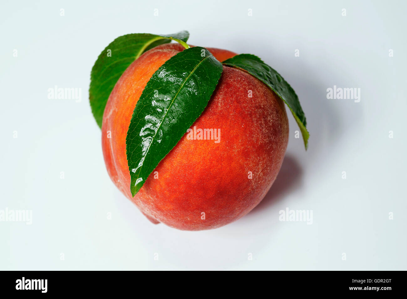 Ripe peach fruit with green leafs isolated on white background Stock Photo