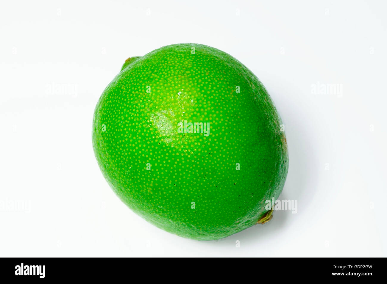 Single lime isolated on a white background Stock Photo