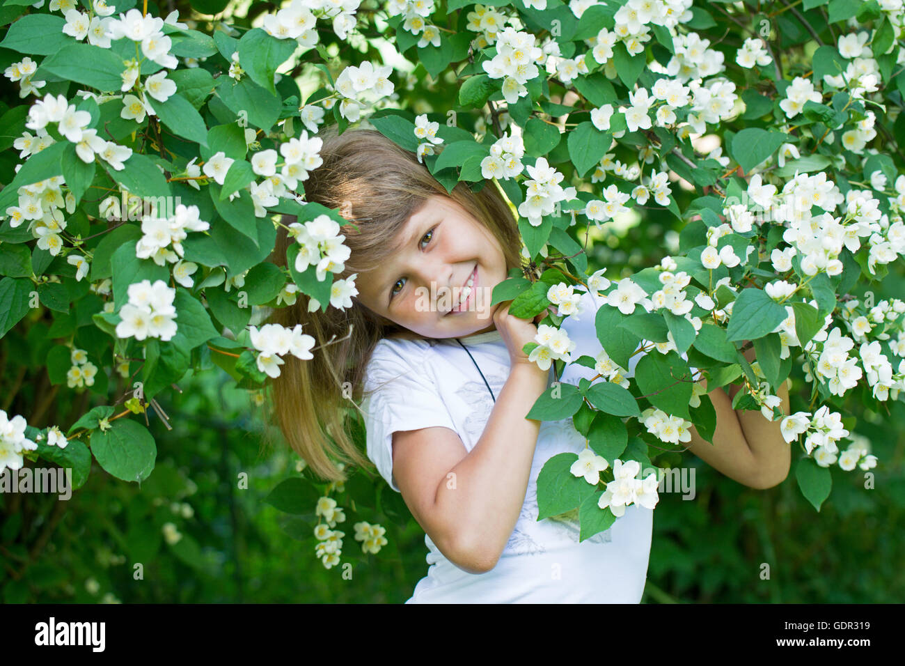 Girl and jasmine flowers Stock Photo - Alamy