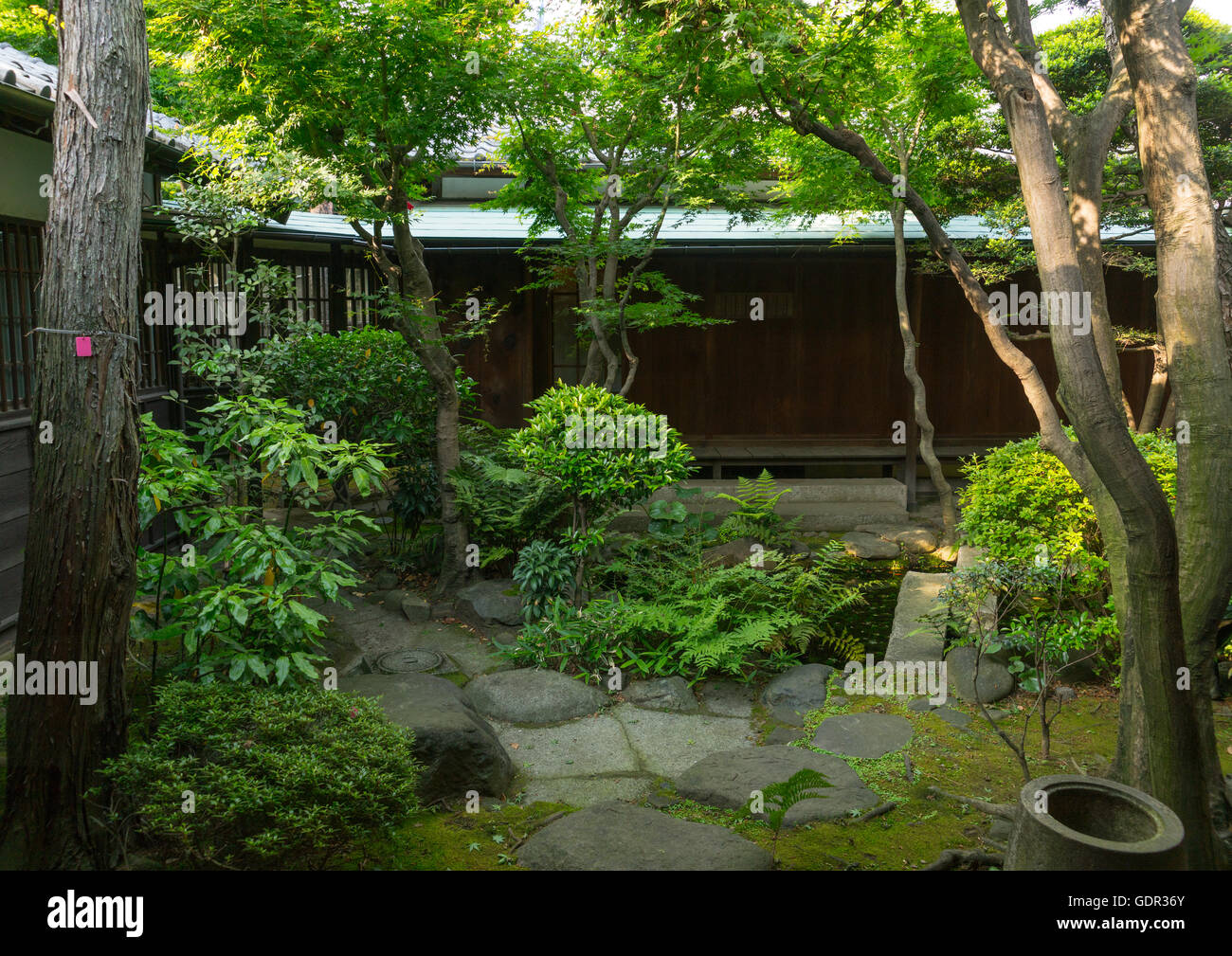 Garden of kyu asakura traditional japanese house from taisho era, Kanto region, Tokyo, Japan