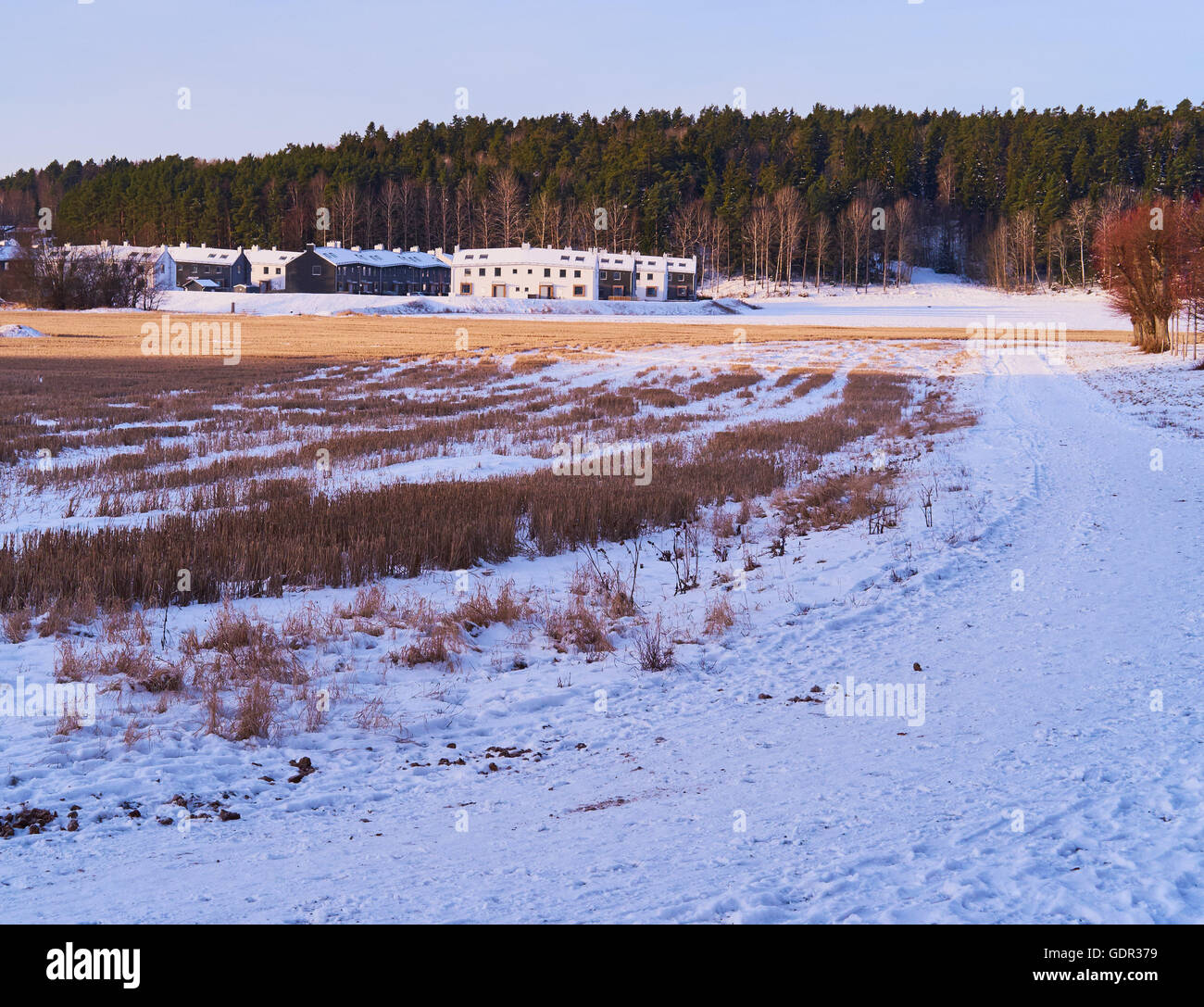 Winter landscape and houses Upplands Vasby Stockholm Sweden Scandinavia Stock Photo