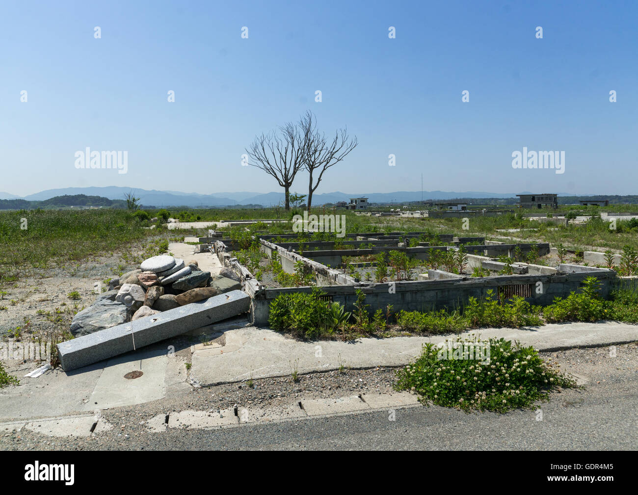 Foundations of the houses destroyed by the earthquake and the tsunami