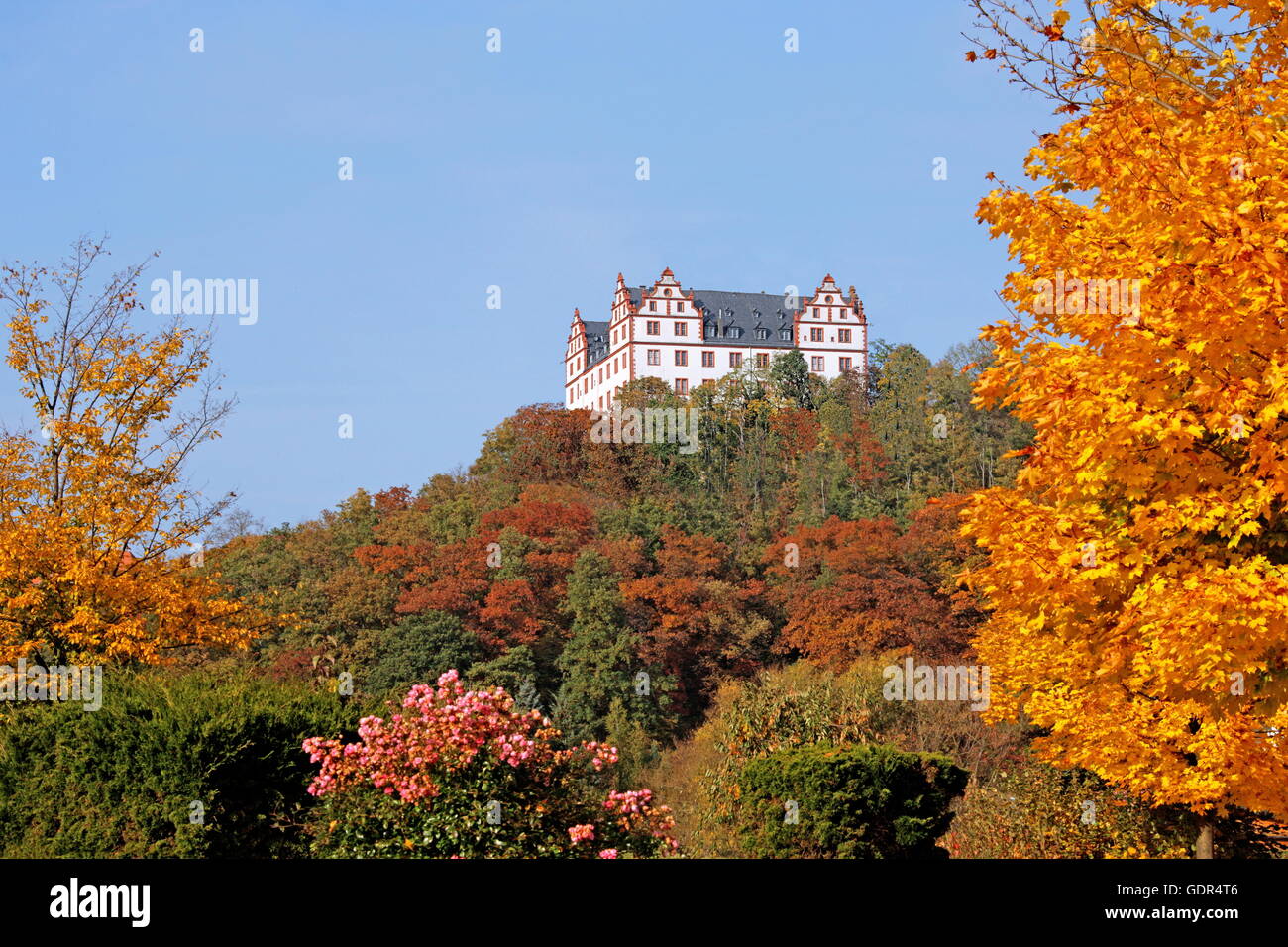 geography / travel, Germany, Hesse, Fischbachtal at Forest of Odes, Lichtenberg Castle, historical museum of the Forest of Odes since 1951, exterior view, Additional-Rights-Clearance-Info-Not-Available Stock Photo