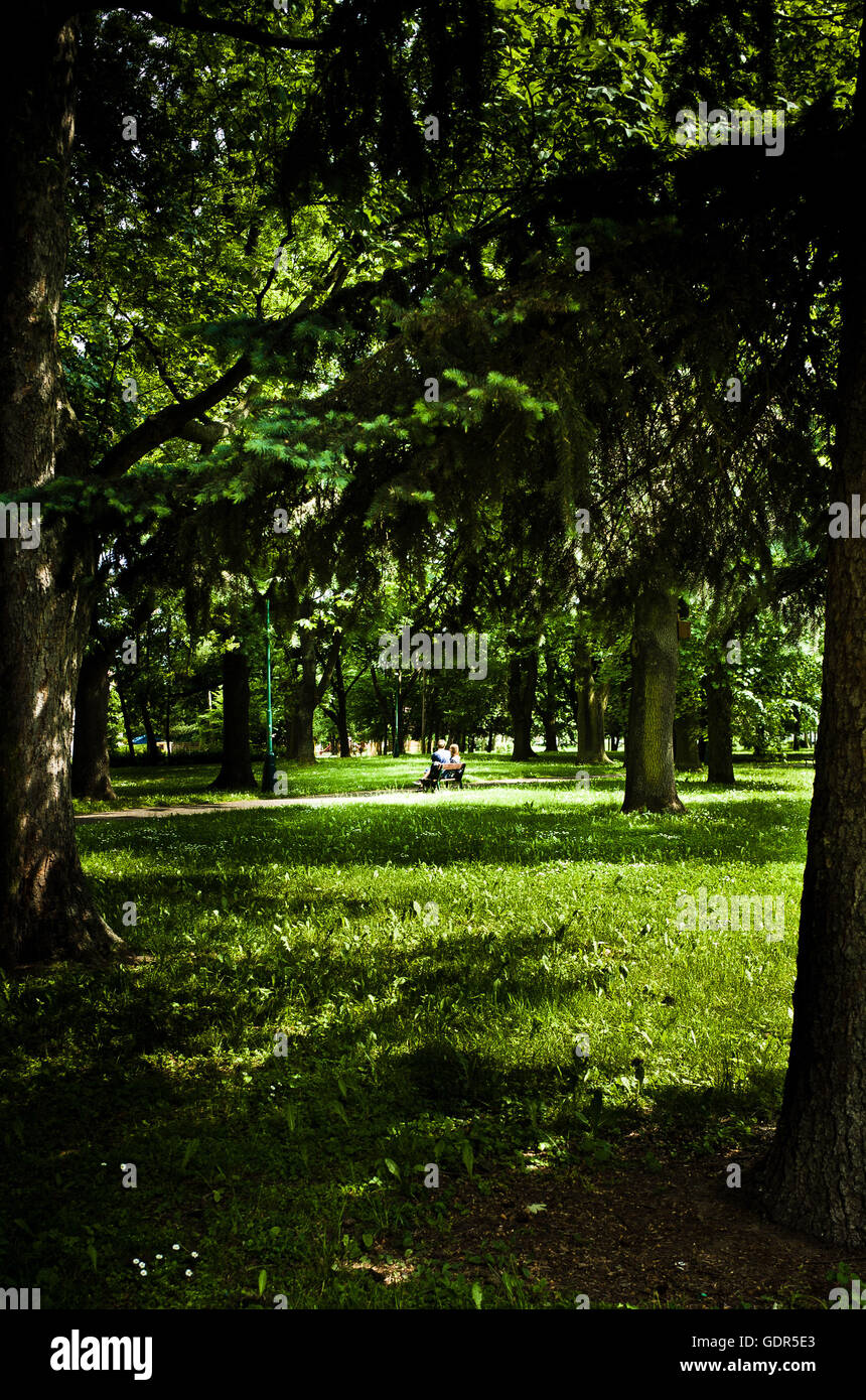 romantic couple of lovers sitting in the park on a bench Stock Photo ...
