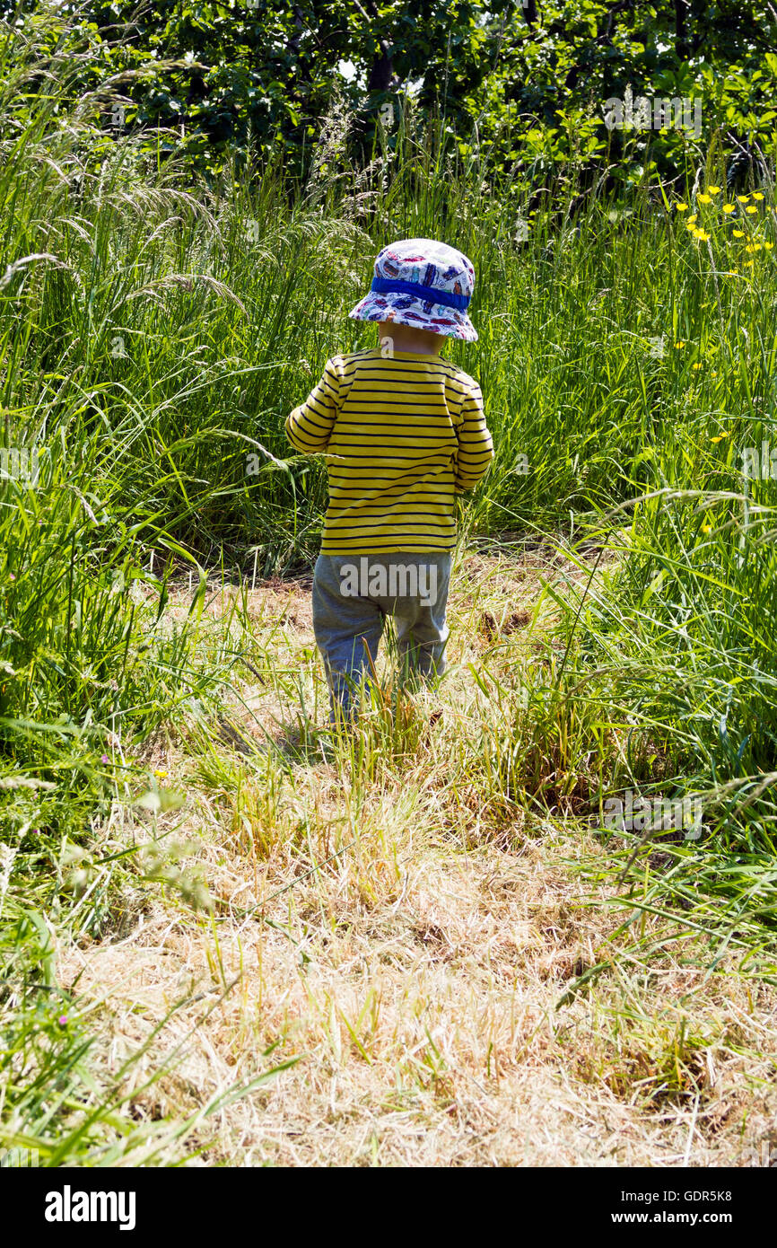 Toddler walking through long grass Stock Photo