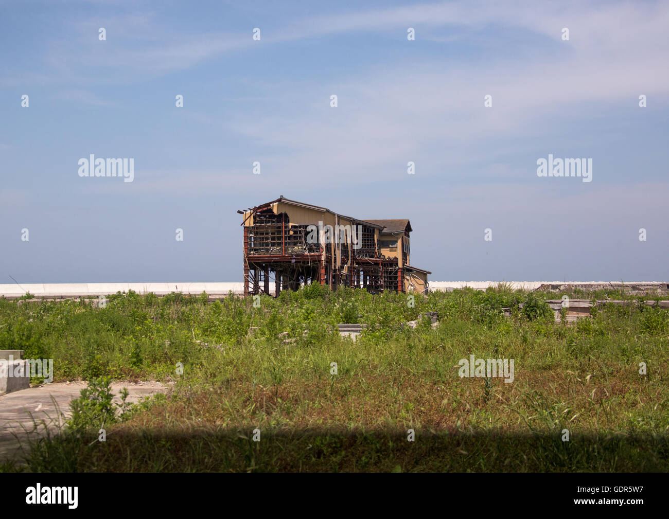 Fukushima tsunami year