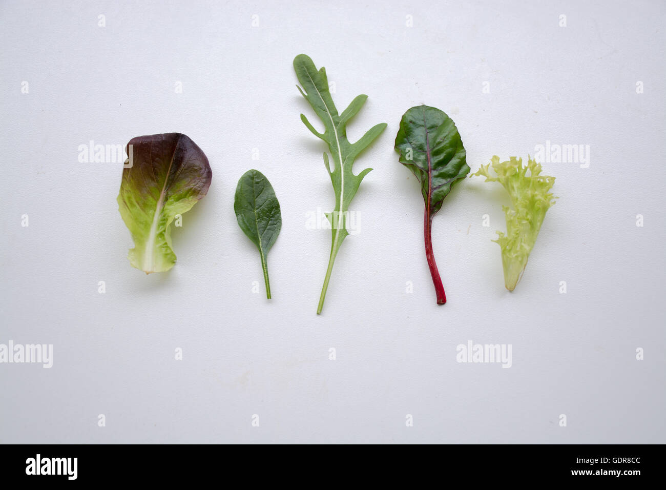 Individual leafy green salad ingredients side by side Stock Photo Alamy