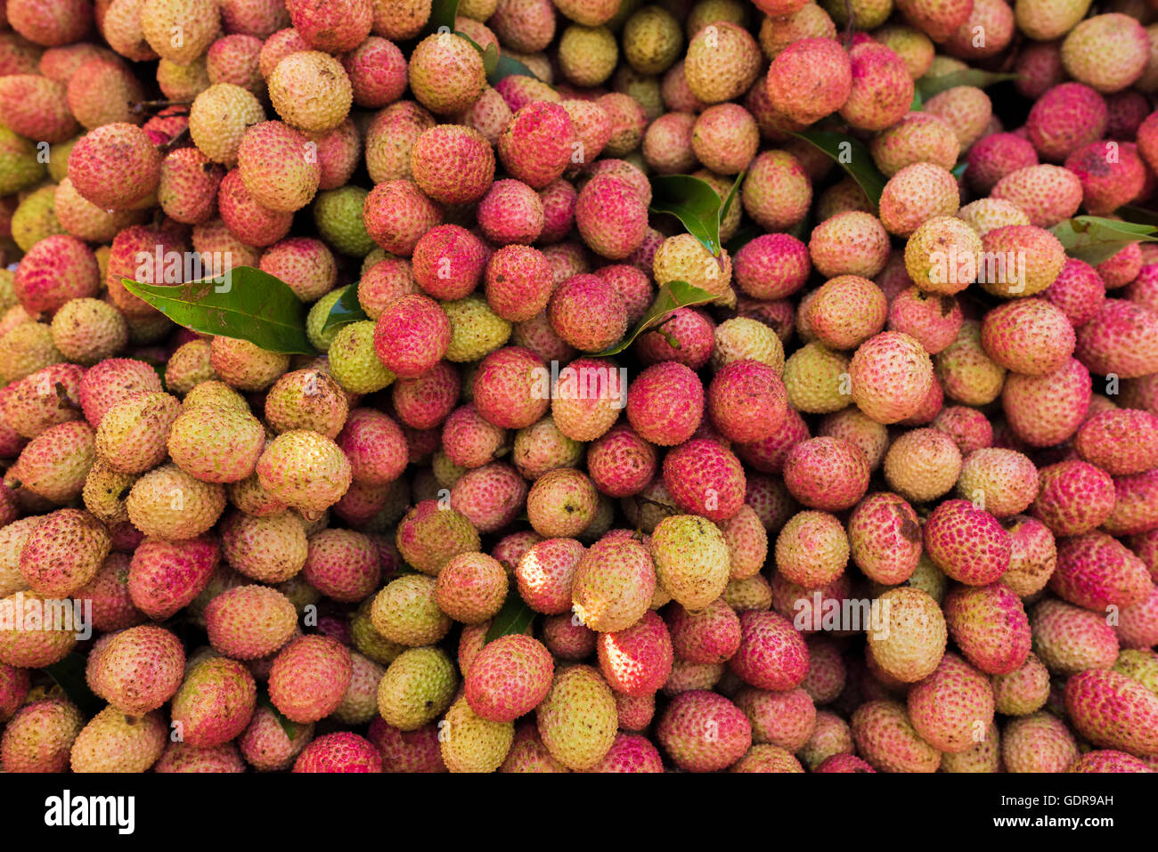 Bunch of lichee's fruit in India Stock Photo