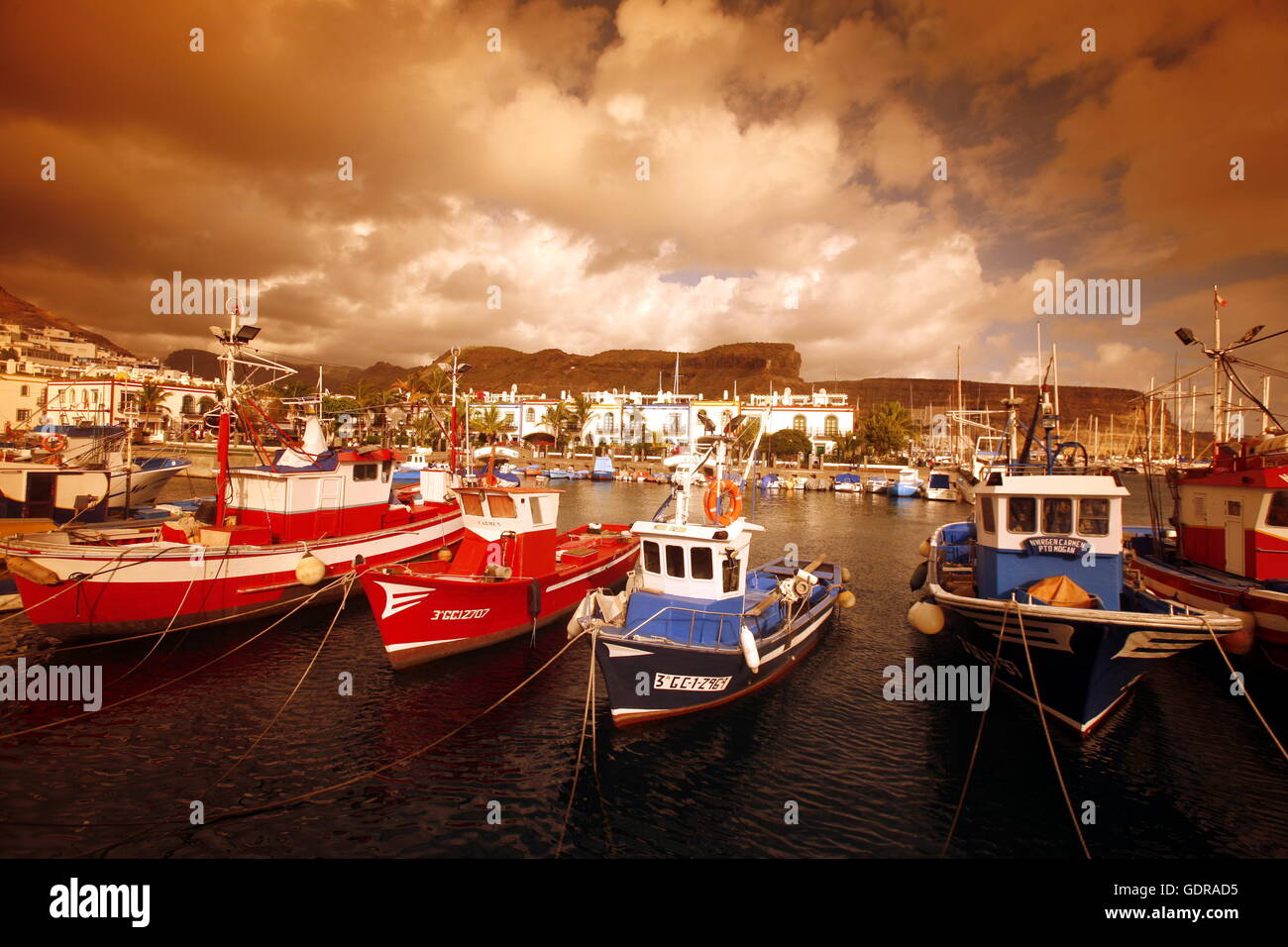 the harbour of the fishing village of  Puerto de Mogan in the south of Gran Canay on the Canary Island of Spain in the Atlantic  Stock Photo